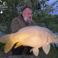 CHRISTOPHE COLLANGE - TESTEUR HCC