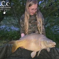 CHRISTOPHE COLLANGE - TESTEUR HCC