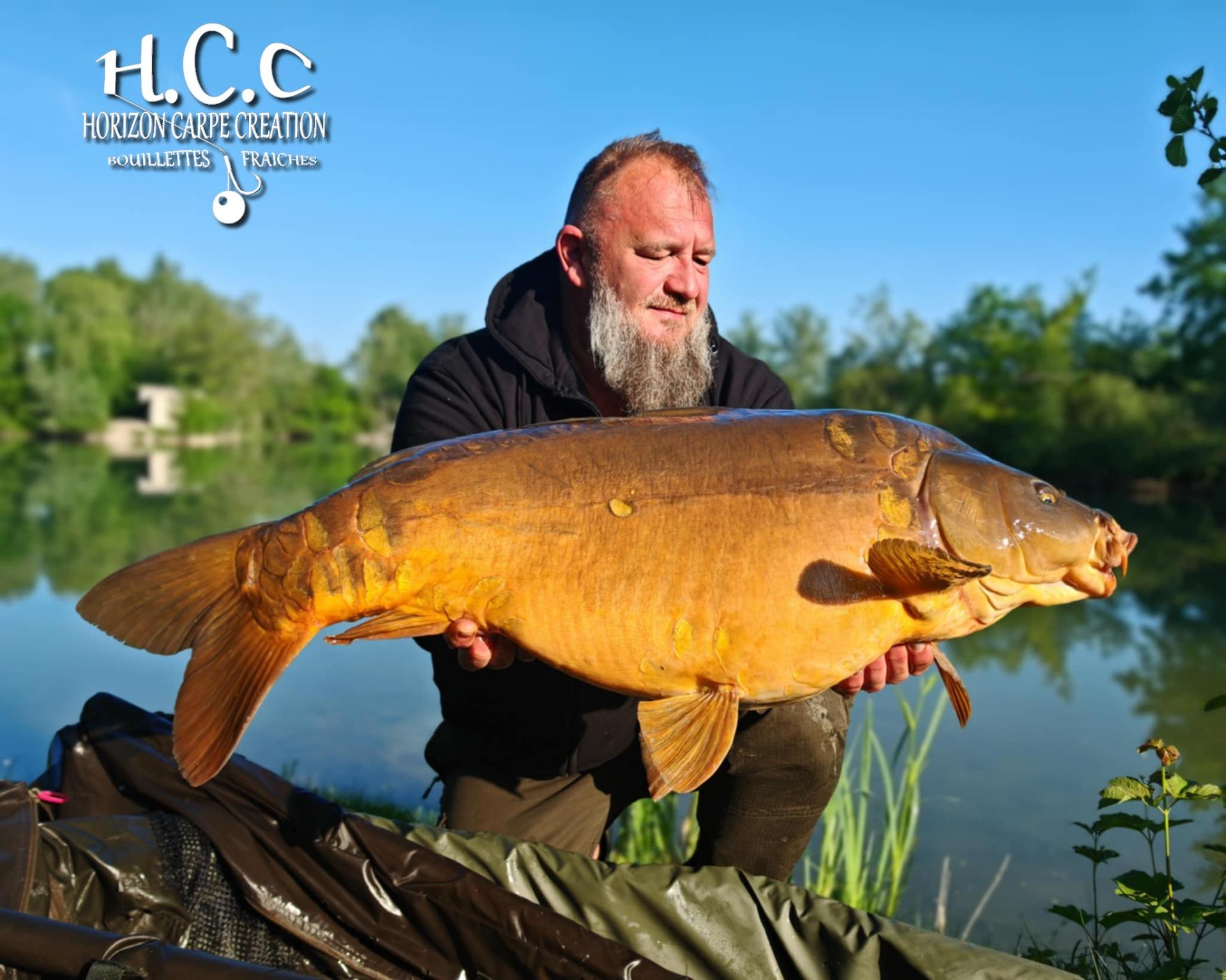 CHRISTOPHE COLLANGE - TESTEUR HCC
