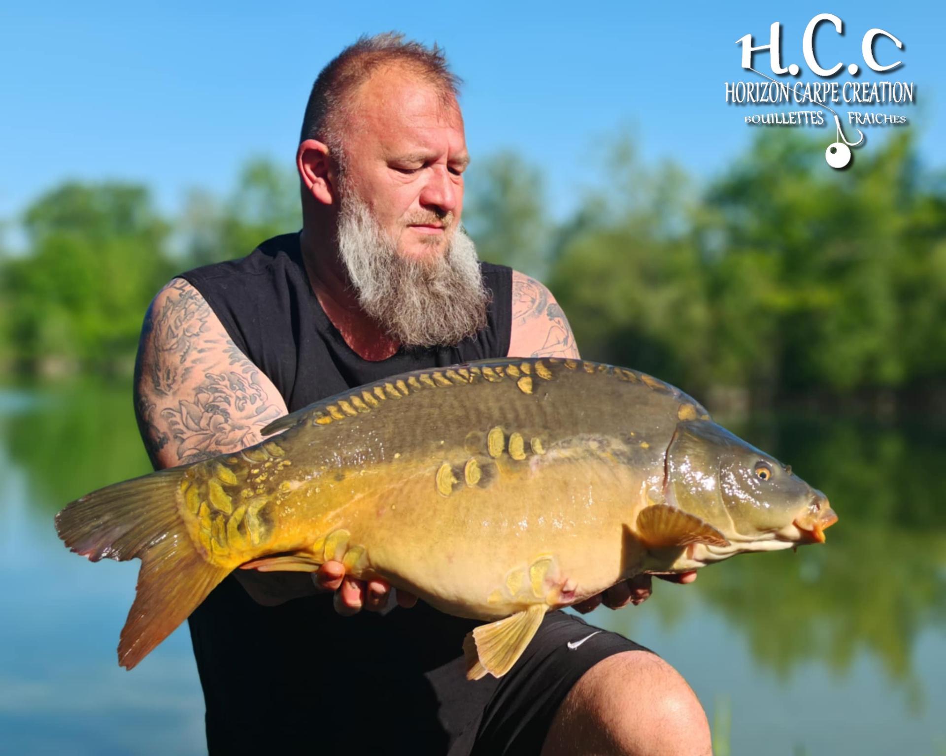 CHRISTOPHE COLLANGE - TESTEUR HCC