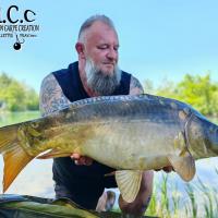 CHRISTOPHE COLLANGE - TESTEUR HCC