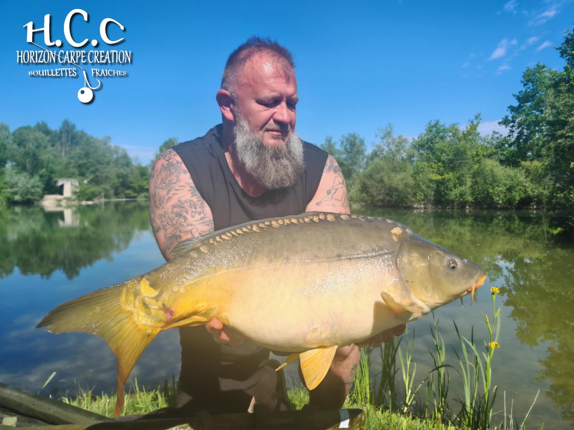 CHRISTOPHE COLLANGE - TESTEUR HCC