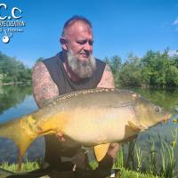 CHRISTOPHE COLLANGE - TESTEUR HCC