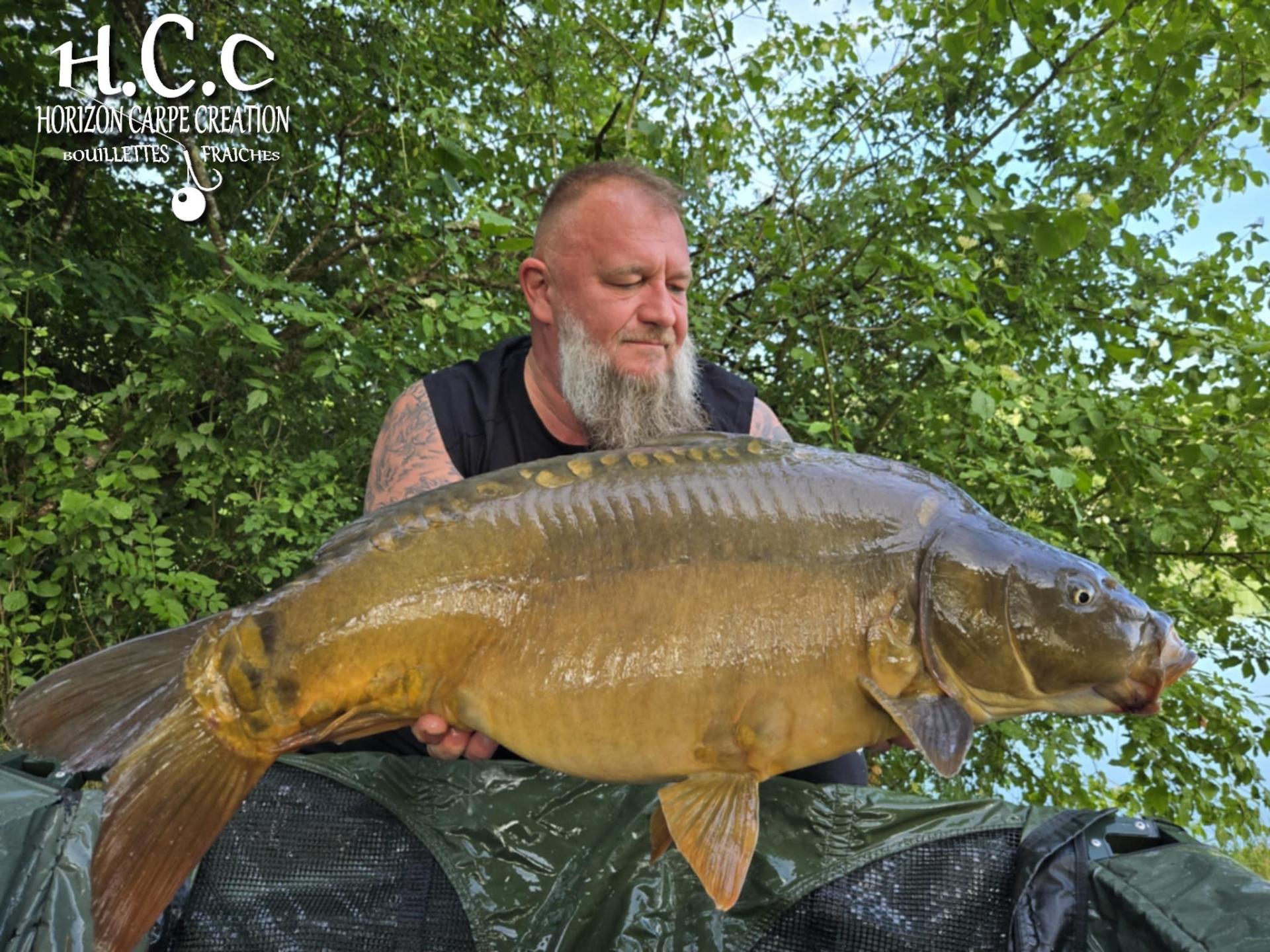 CHRISTOPHE COLLANGE - TESTEUR HCC