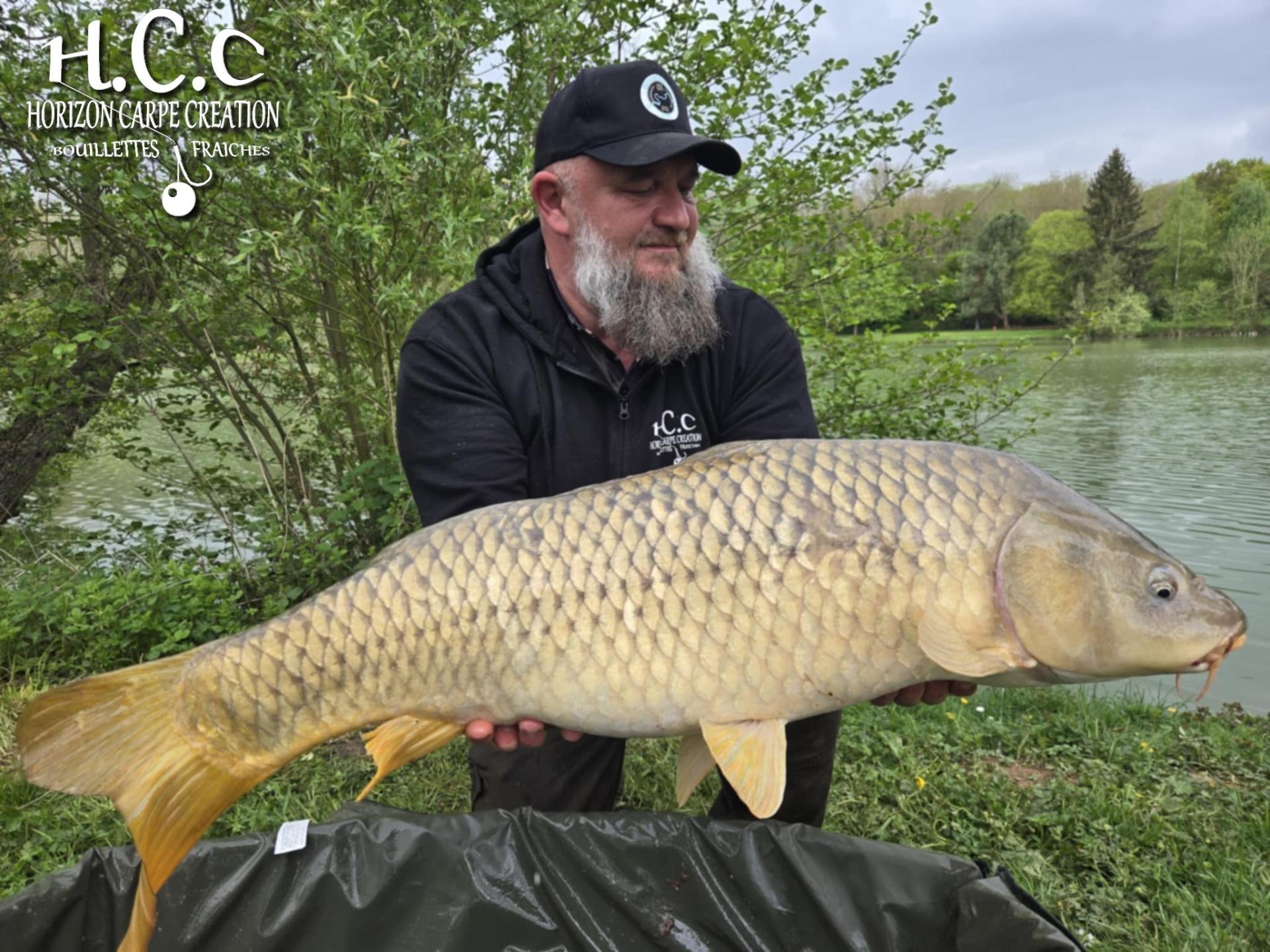 CHRISTOPHE COLLANGE - TESTEUR HCC