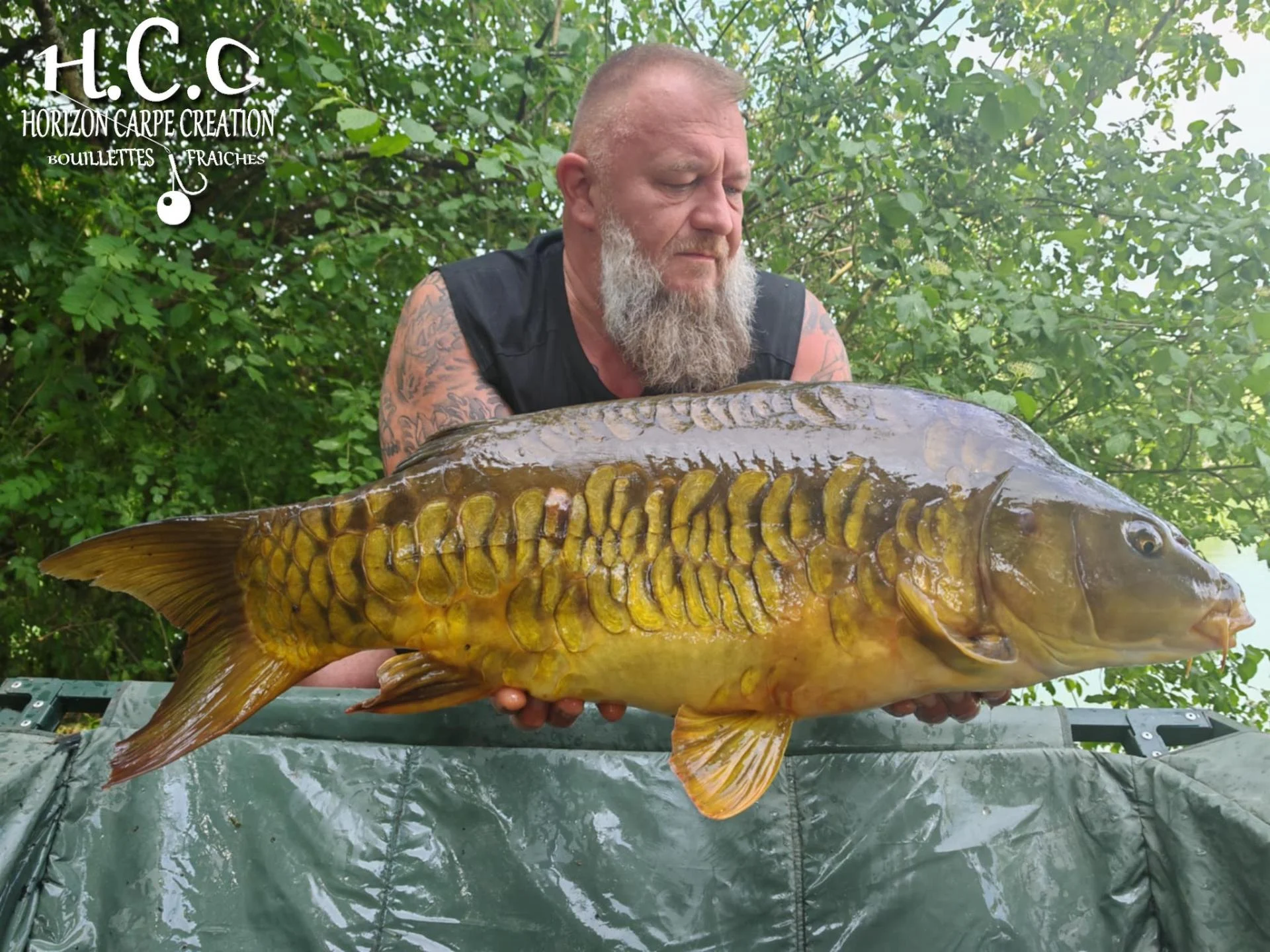 CHRISTOPHE COLLANGE - TESTEUR HCC
