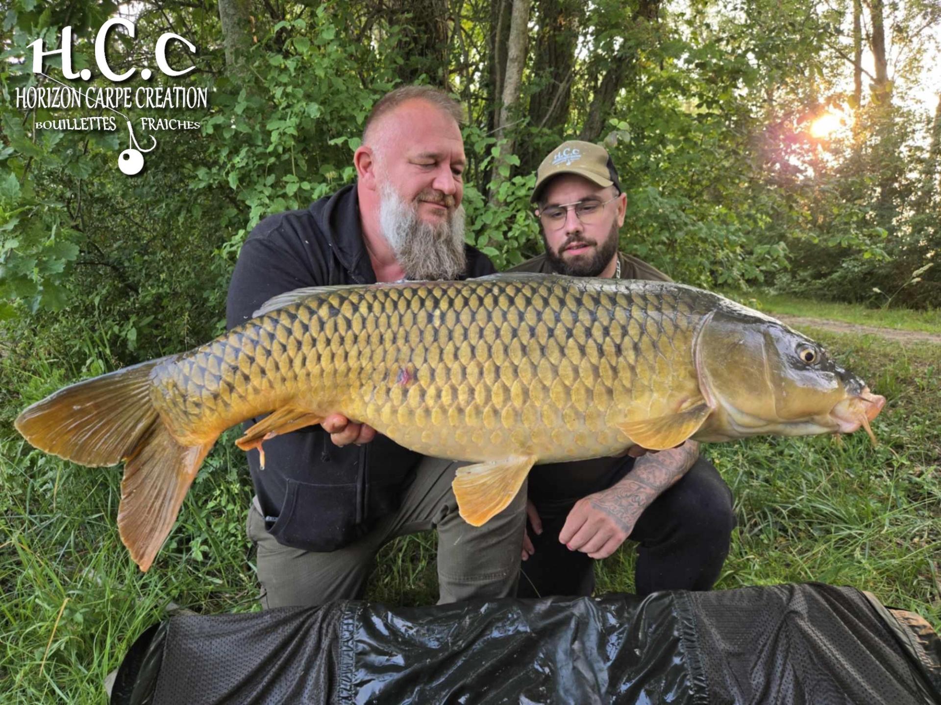 CHRISTOPHE COLLANGE - TESTEUR HCC