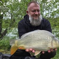 CHRISTOPHE COLLANGE - TESTEUR HCC