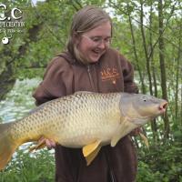 CHRISTOPHE COLLANGE - TESTEUR HCC