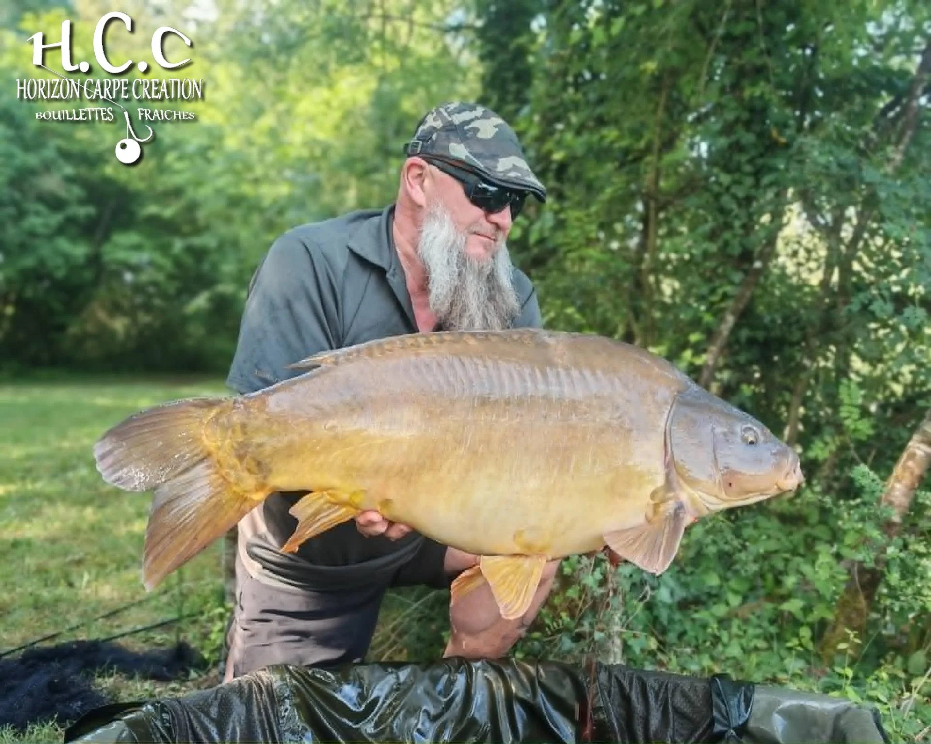 CHRISTOPHE COLLANGE - CONSULTANT HCC