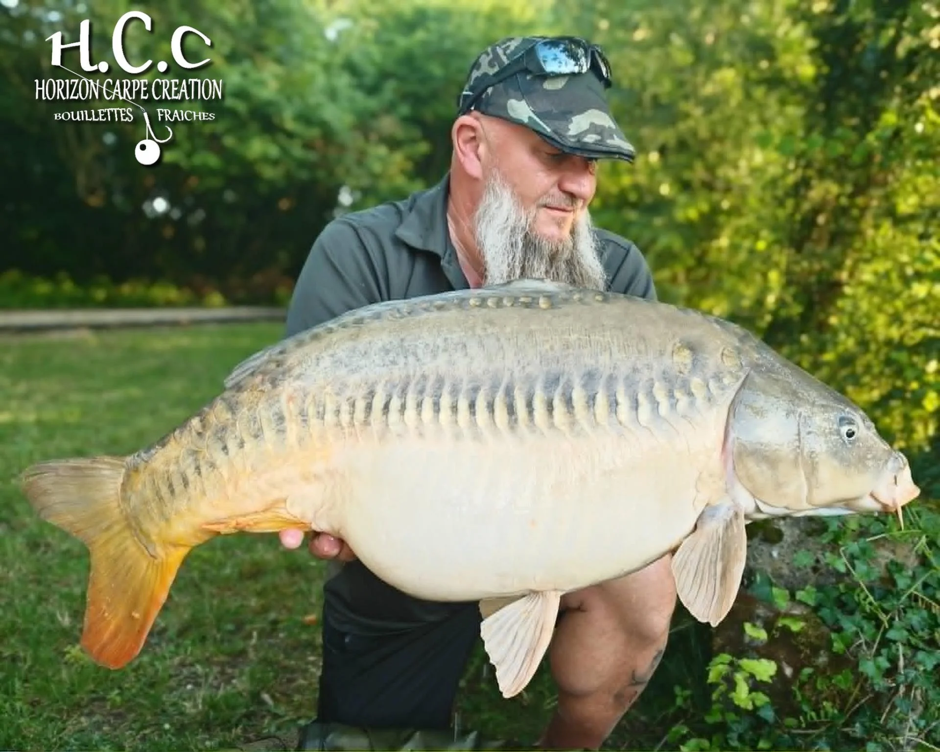 CHRISTOPHE COLLANGE - CONSULTANT HCC
