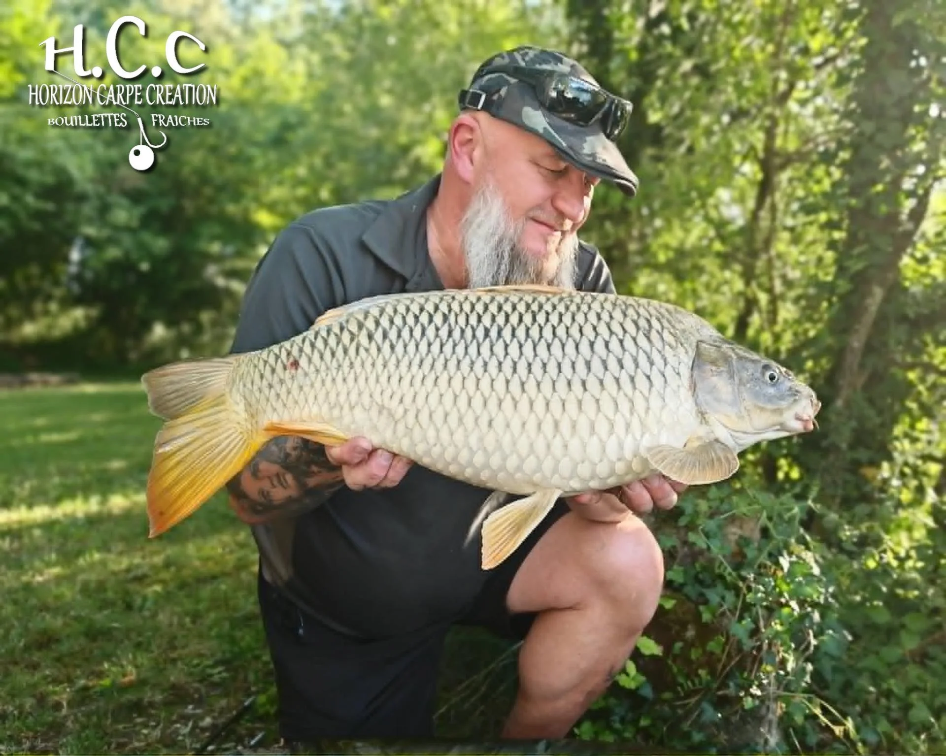 CHRISTOPHE COLLANGE - CONSULTANT HCC