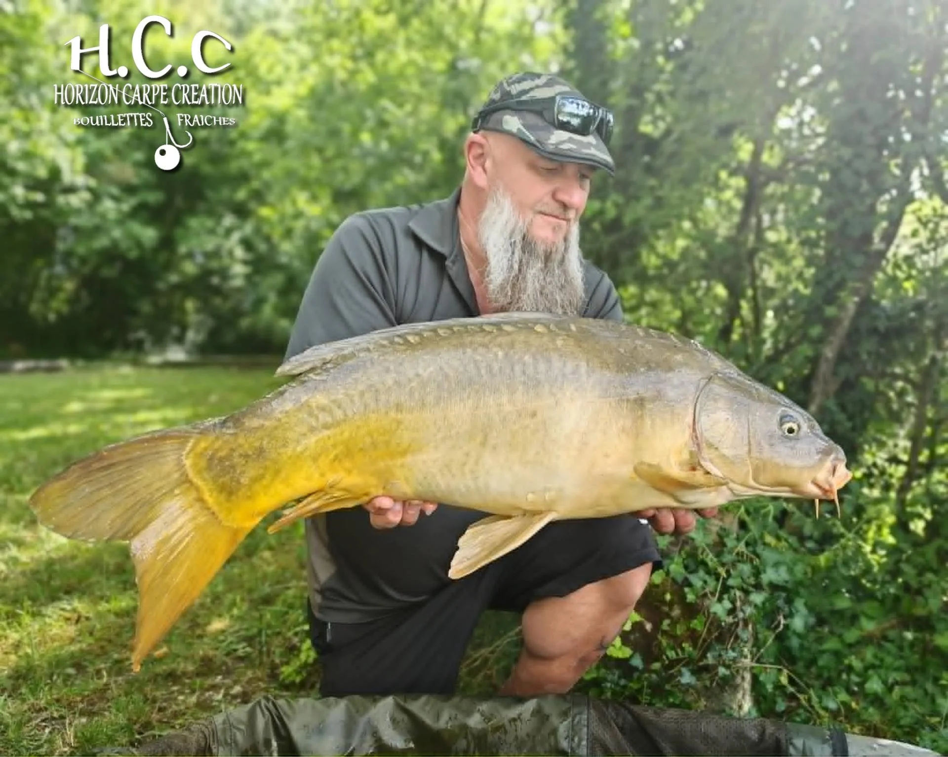 CHRISTOPHE COLLANGE - CONSULTANT HCC