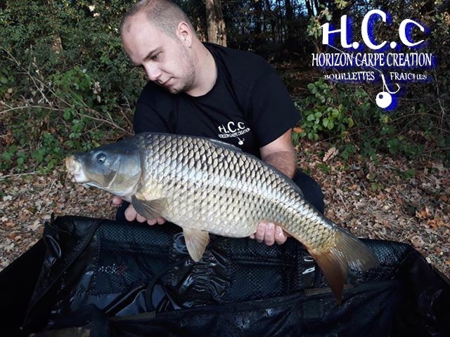 CHRISTOPHER LANSON - TEAM HCC