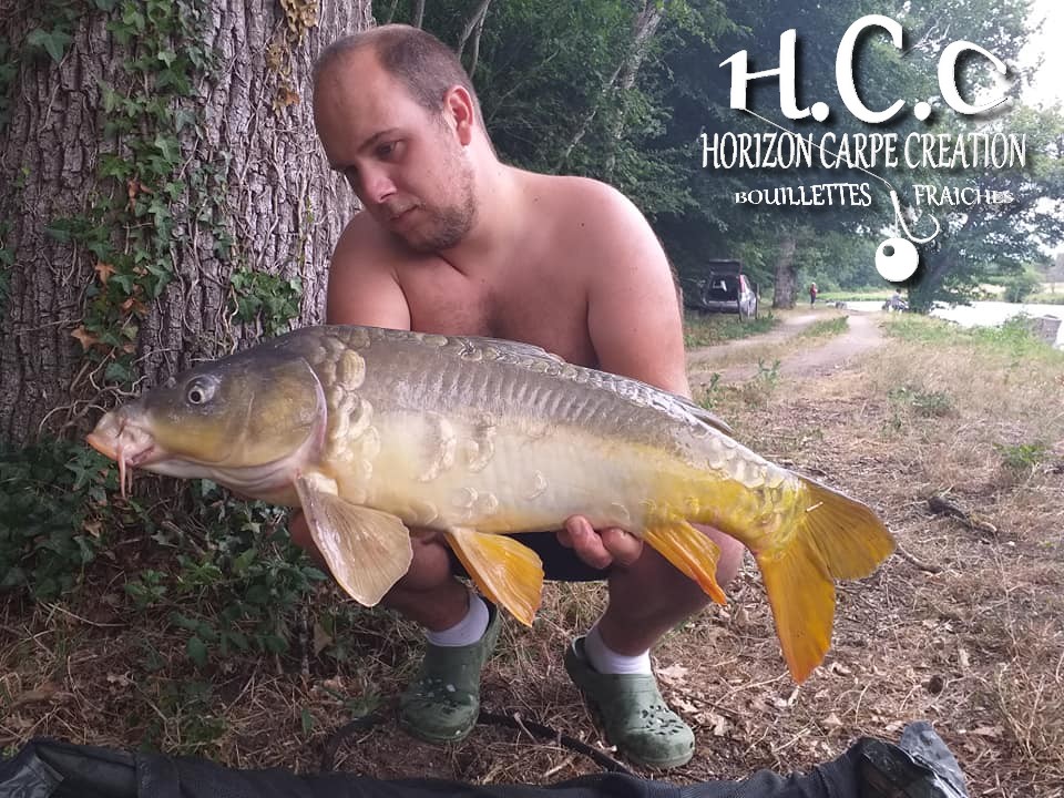 CHRISTOPHER LANSON - TEAM HCC