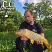 CHRISTOPHER LANSON - TEAM HCC