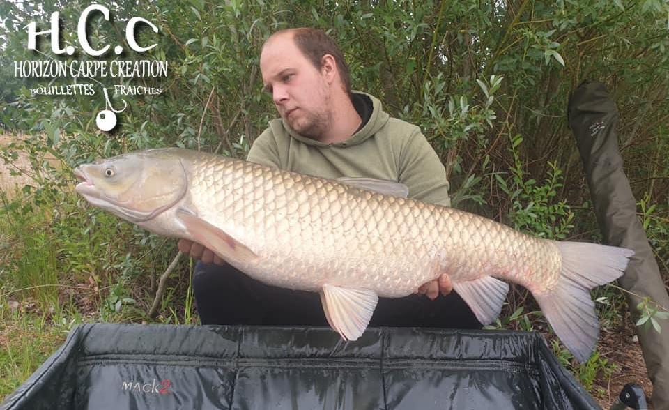 CHRISTOPHER LANSON - TEAM HCC