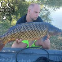 CHRISTOPHER LANSON - CONSULTANT HCC