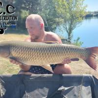 CHRISTOPHER LANSON - CONSULTANT HCC