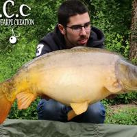 COUSIN DE PIERRE VIOGNIER - TEAM HCC IDF