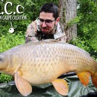 COUSIN DE PIERRE VIOGNIER - TEAM HCC IDF