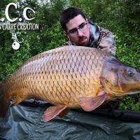 COUSIN DE PIERRE VIOGNIER - TEAM HCC IDF