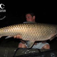 CYRIL NACQUEMOUCHE - CLIENT HCC