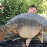CYRIL NACQUEMOUCHE - CLIENT HCC