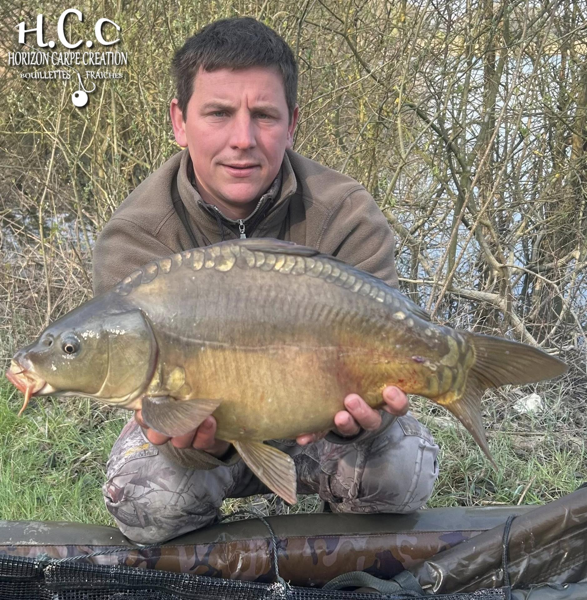 CYRIL NACQUEMOUCHE - CONSULTANT HCC