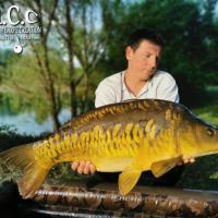 CYRIL NACQUEMOUCHE - CONSULTANT HCC