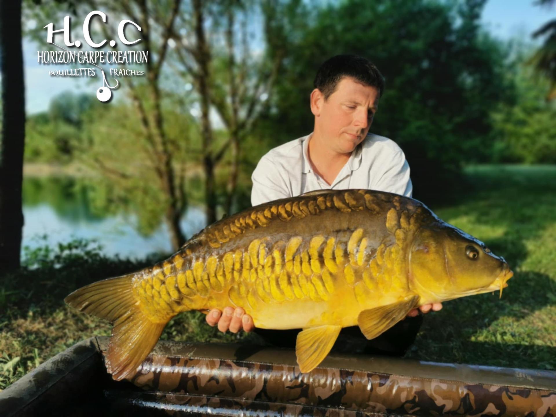 CYRIL NACQUEMOUCHE - CONSULTANT HCC