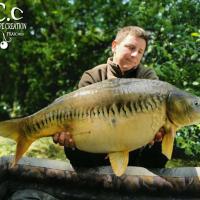 CYRIL NACQUEMOUCHE - CONSULTANT HCC