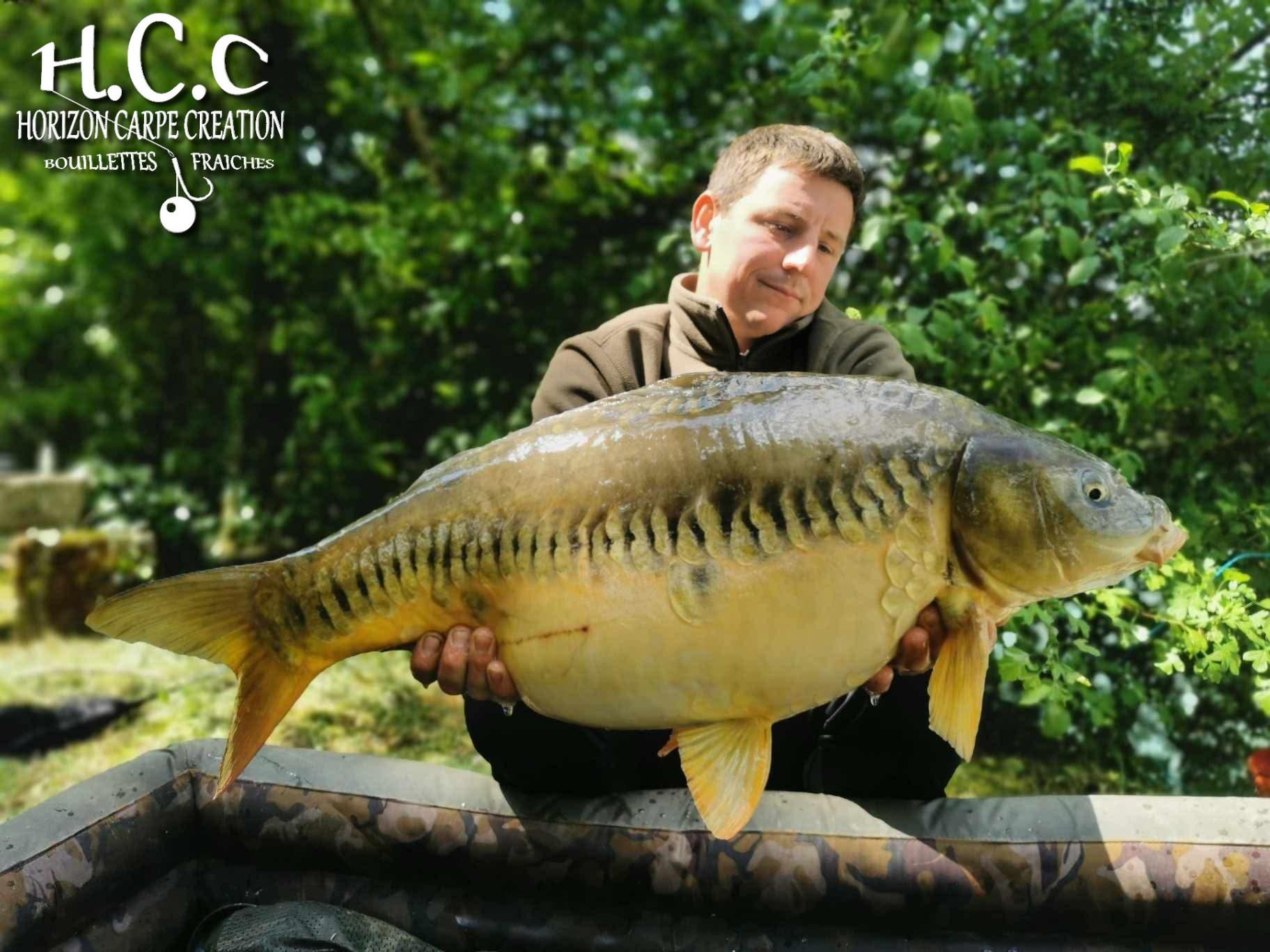 CYRIL NACQUEMOUCHE - CONSULTANT HCC