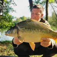 CYRIL NACQUEMOUCHE - CONSULTANT HCC