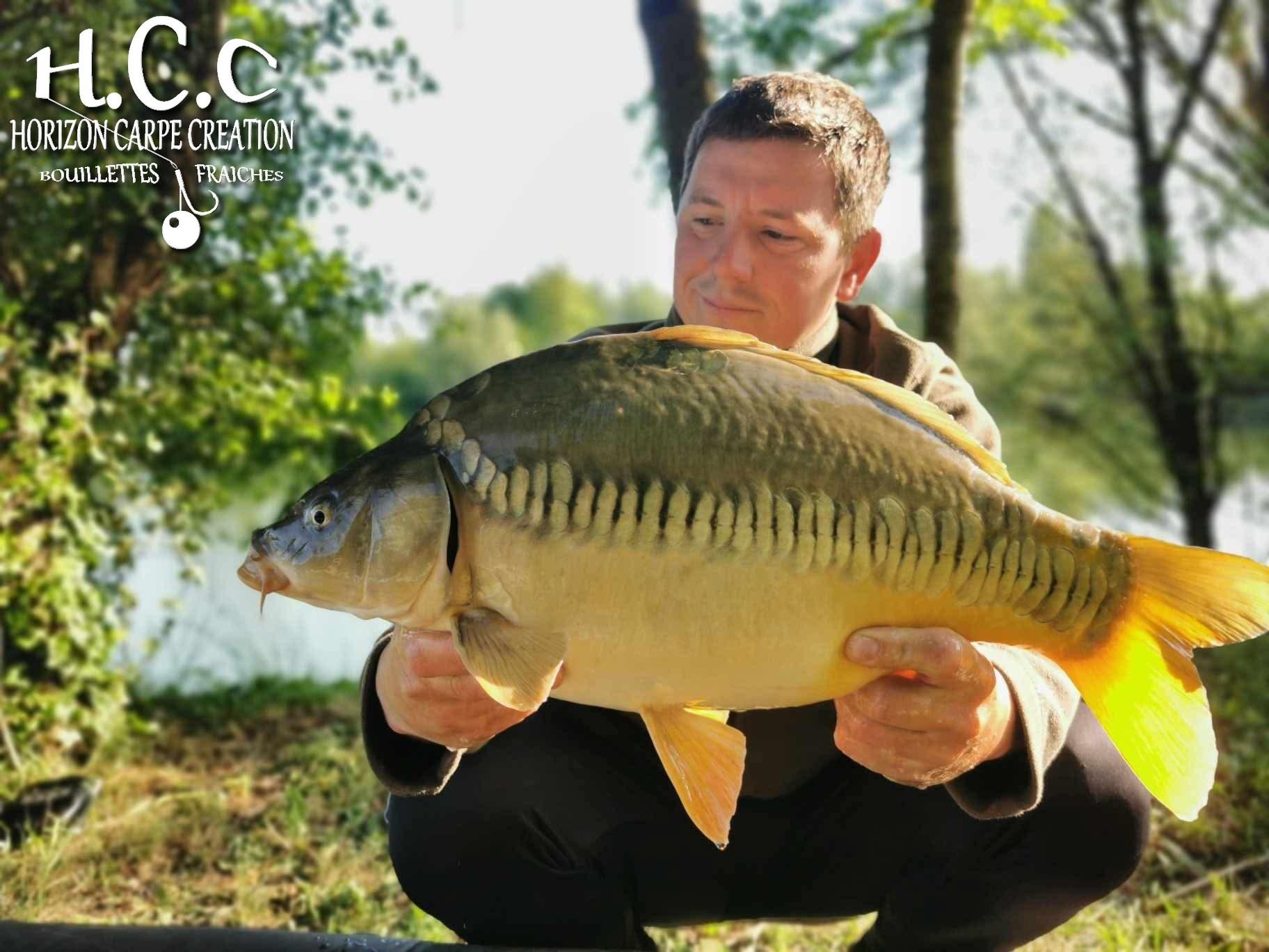 CYRIL NACQUEMOUCHE - CONSULTANT HCC