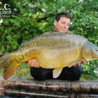 CYRIL NACQUEMOUCHE - CONSULTANT HCC