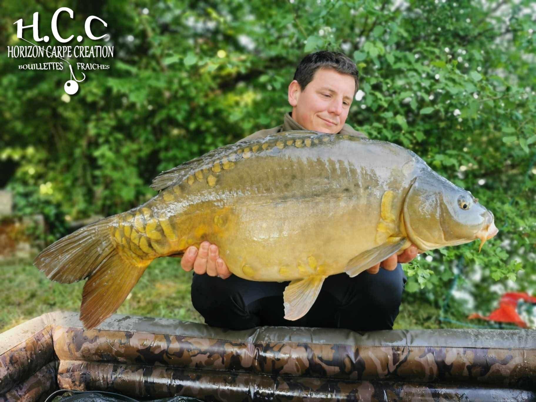 CYRIL NACQUEMOUCHE - CONSULTANT HCC