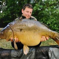 CYRIL NACQUEMOUCHE - CONSULTANT HCC