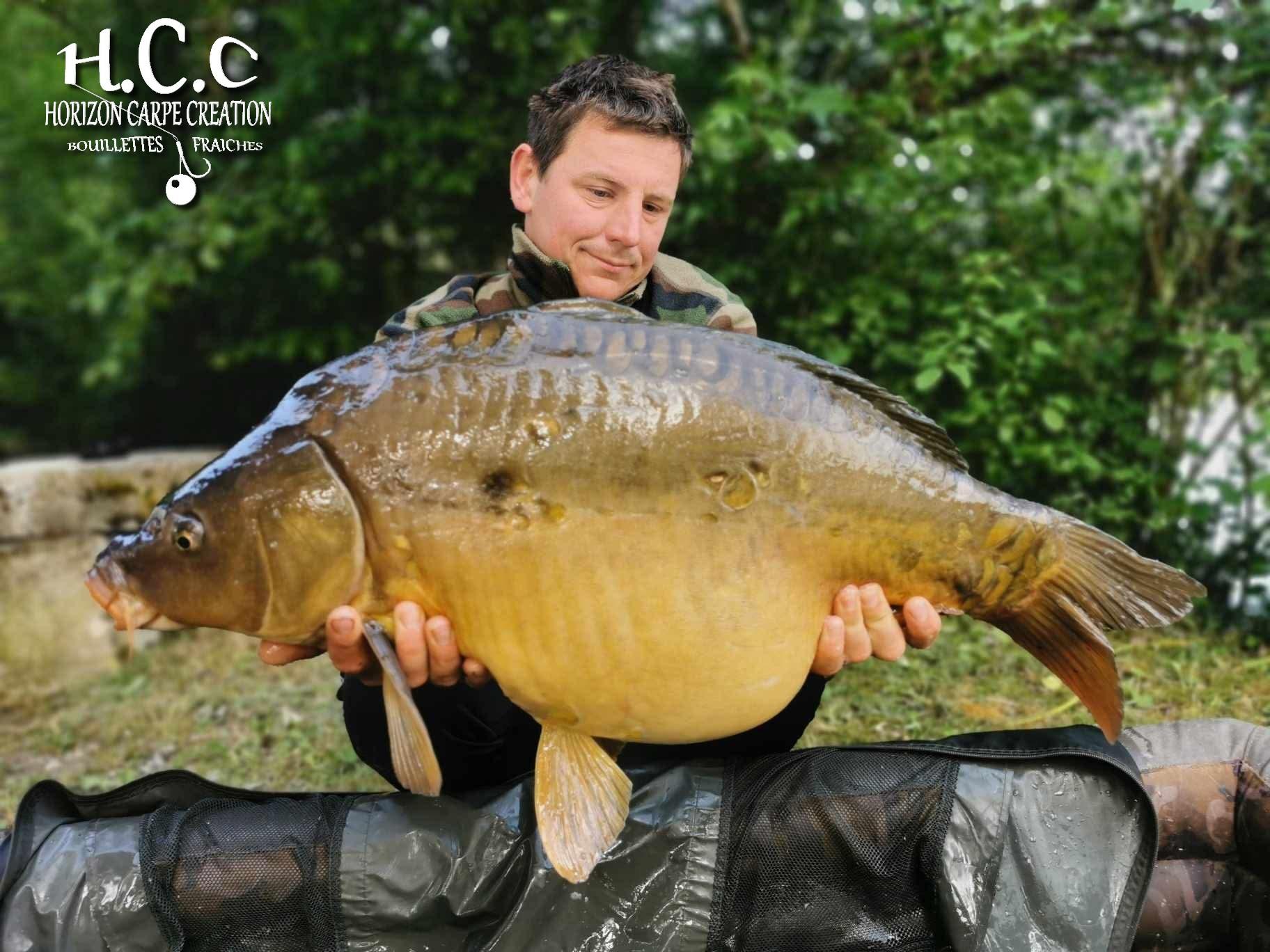 CYRIL NACQUEMOUCHE - CONSULTANT HCC