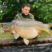 CYRIL NACQUEMOUCHE - CONSULTANT HCC