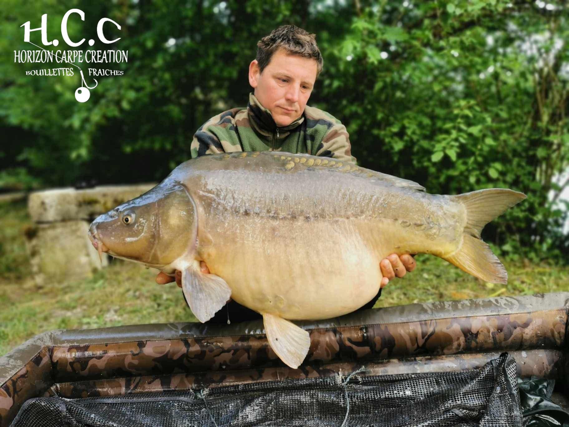 CYRIL NACQUEMOUCHE - CONSULTANT HCC