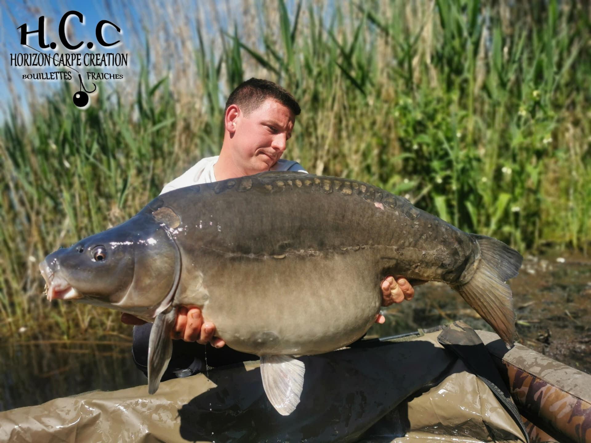 CYRIL NACQUEMOUCHE - CONSULTANT HCC