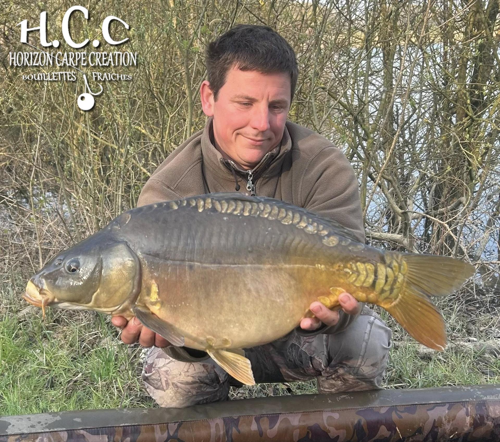 CYRIL NACQUEMOUCHE - CONSULTANT HCC