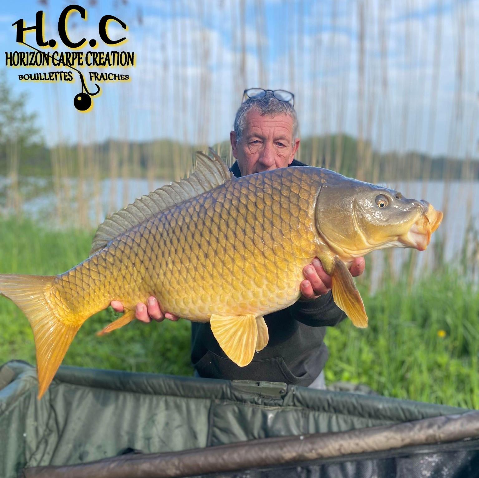 DIDIER IALENTI - CLIENT HCC