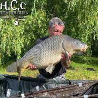 DIDIER IALENTI - CLIENT HCC