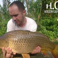 WILLIAM DESSE - CONSULTANT HCC