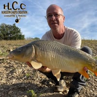 FABIEN MAITRE - CONSULTANT HCC
