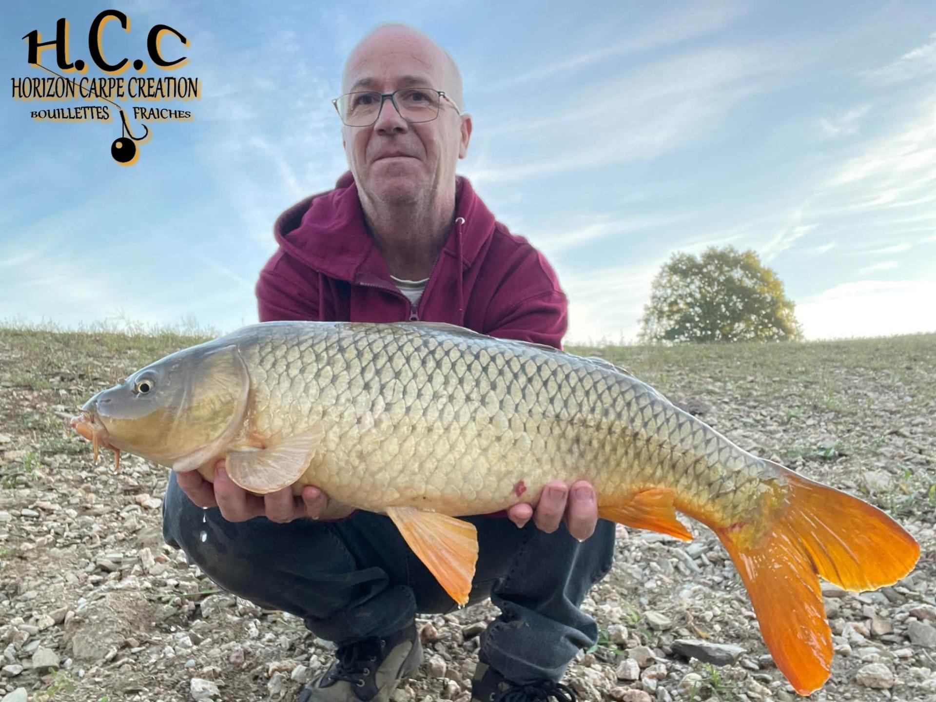 FABIEN MAITRE - CONSULTANT HCC