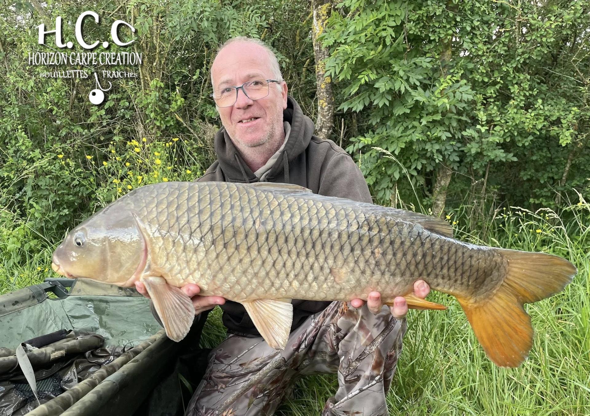 FABIEN MAITRE - CONSULTANT HCC