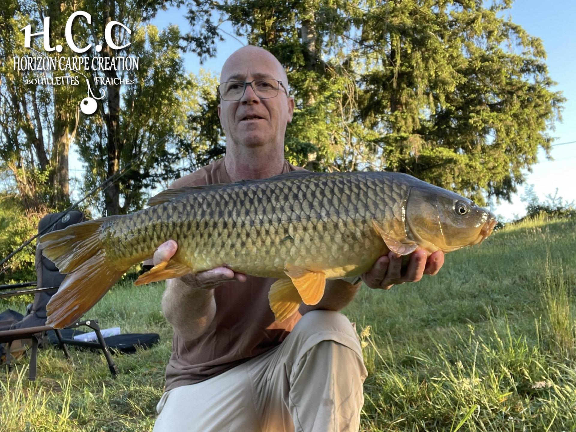 FABIEN MAITRE - CONSULTANT HCC